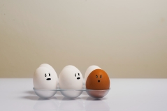 Five white eggs and one dark egg in a tray